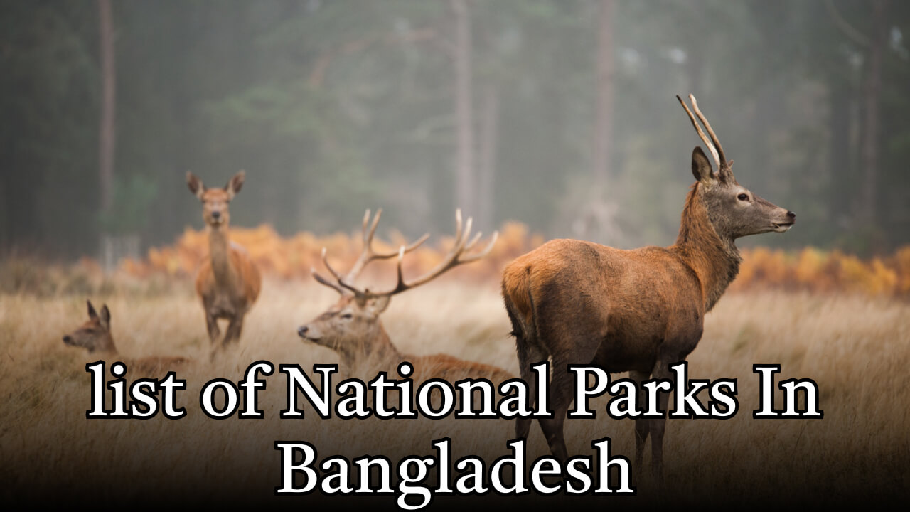 list of National Parks In Bangladesh